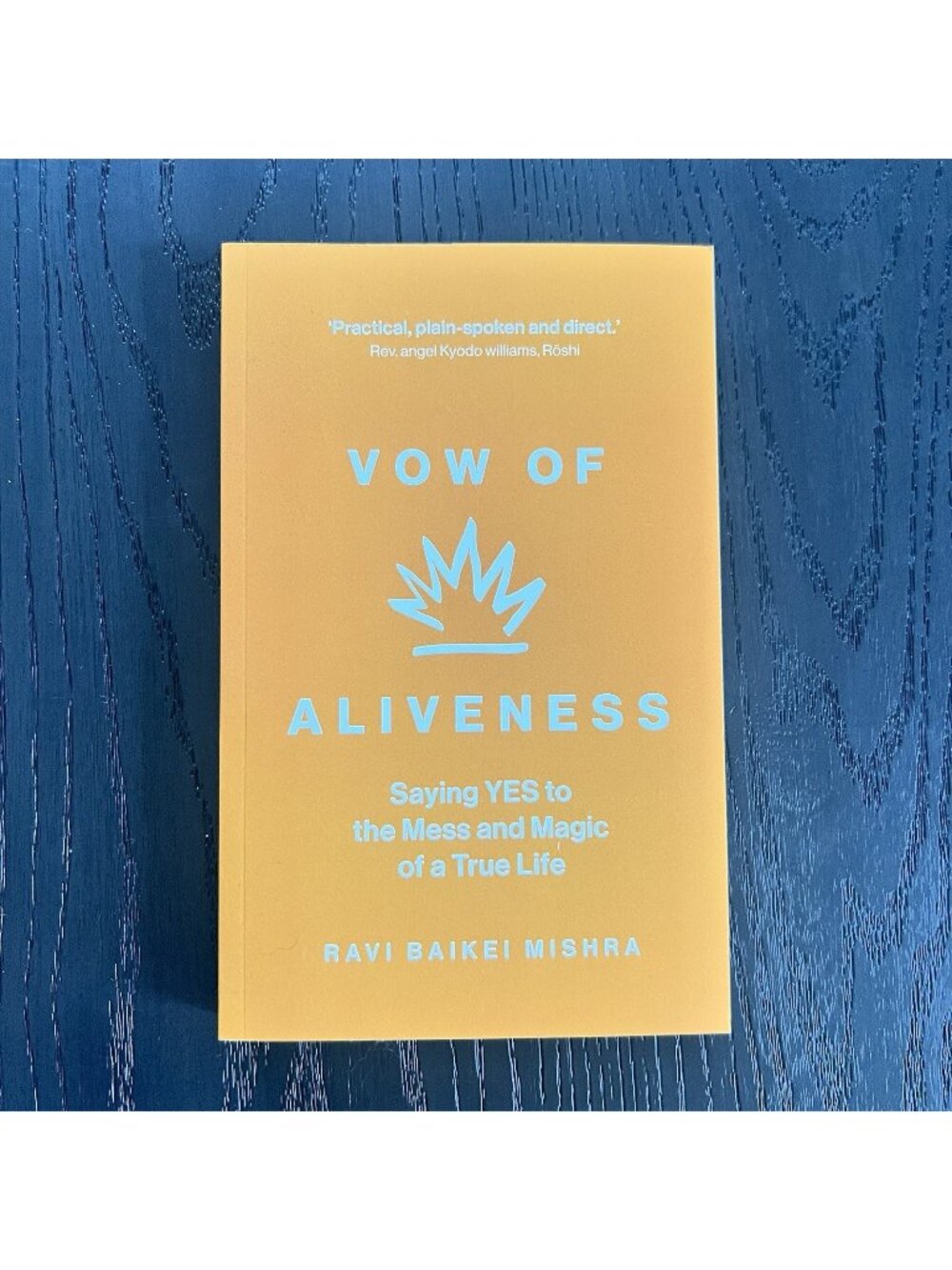 NEW | VOW OF ALIVENESS: Saying YES to the Mess and Magic of a True Life Book